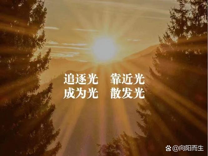 周末娱乐圈_娱乐圈周沅_娱乐圈周倩