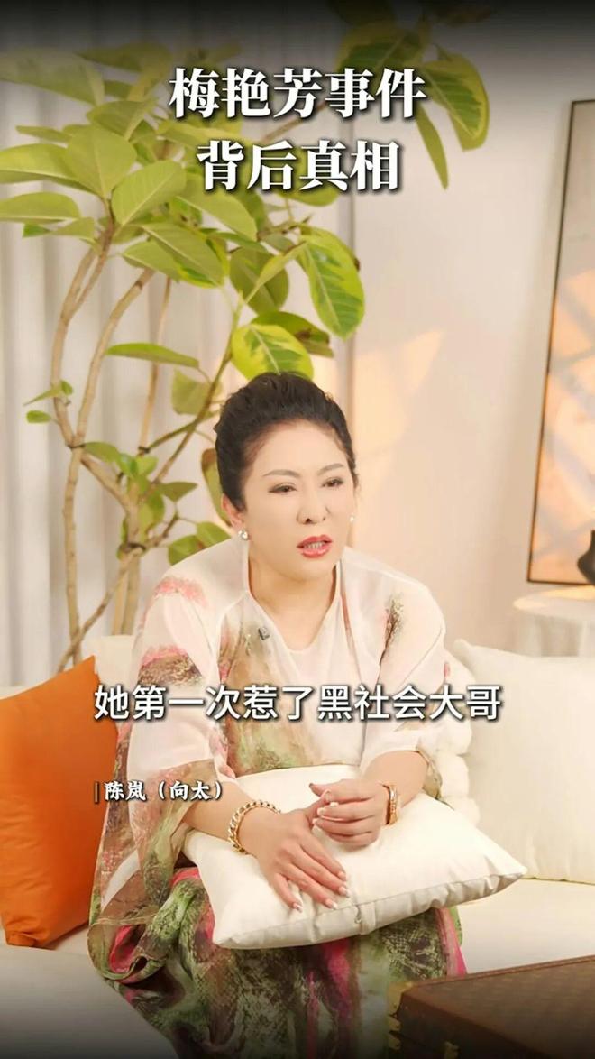 梅艳芳被黑社会掌掴真相_梅艳芳黑社会恩怨_香港黑社会  娱乐圈