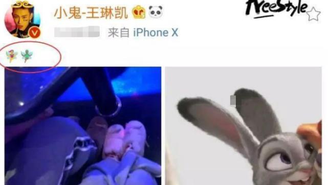如果你当明星了会被扒出什么黑料,_小鬼王琳凯黑料_小鬼恋爱被扒事件
