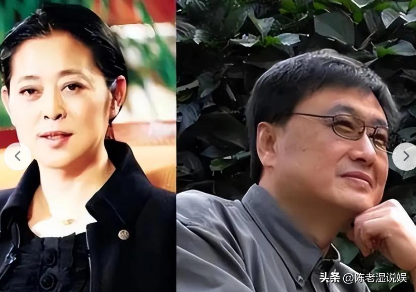 倪萍前夫王文澜近况_倪萍病重退出娱乐圈_倪萍王文澜婚姻真相