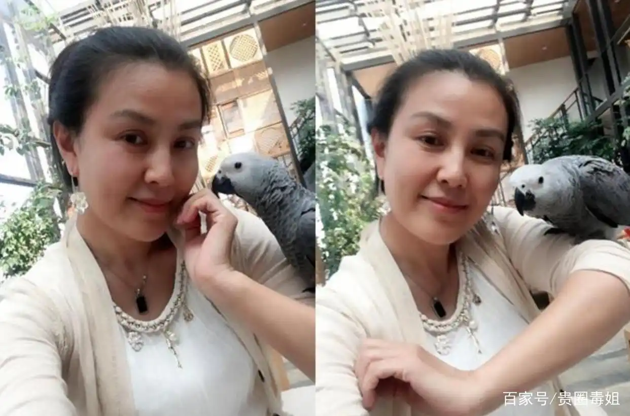 长方形脸女明星_大长脸美女 女星大长脸 气质独特大长脸