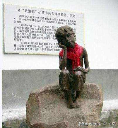 邳州娱乐圈演员_邳州市旅游景点_邳州银杏时光隧道