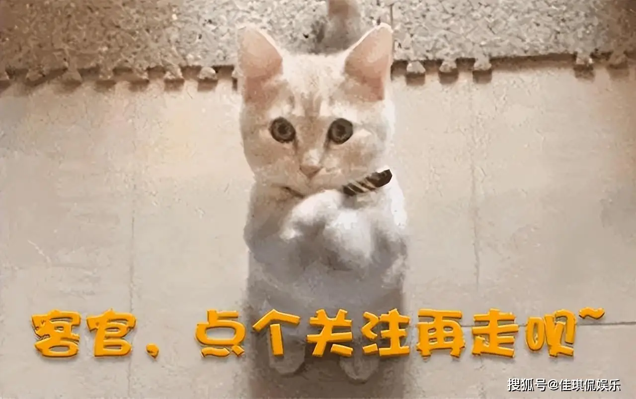 娱乐圈假戏真做文_娱乐圈黑暗内幕_女星遭遇性骚扰